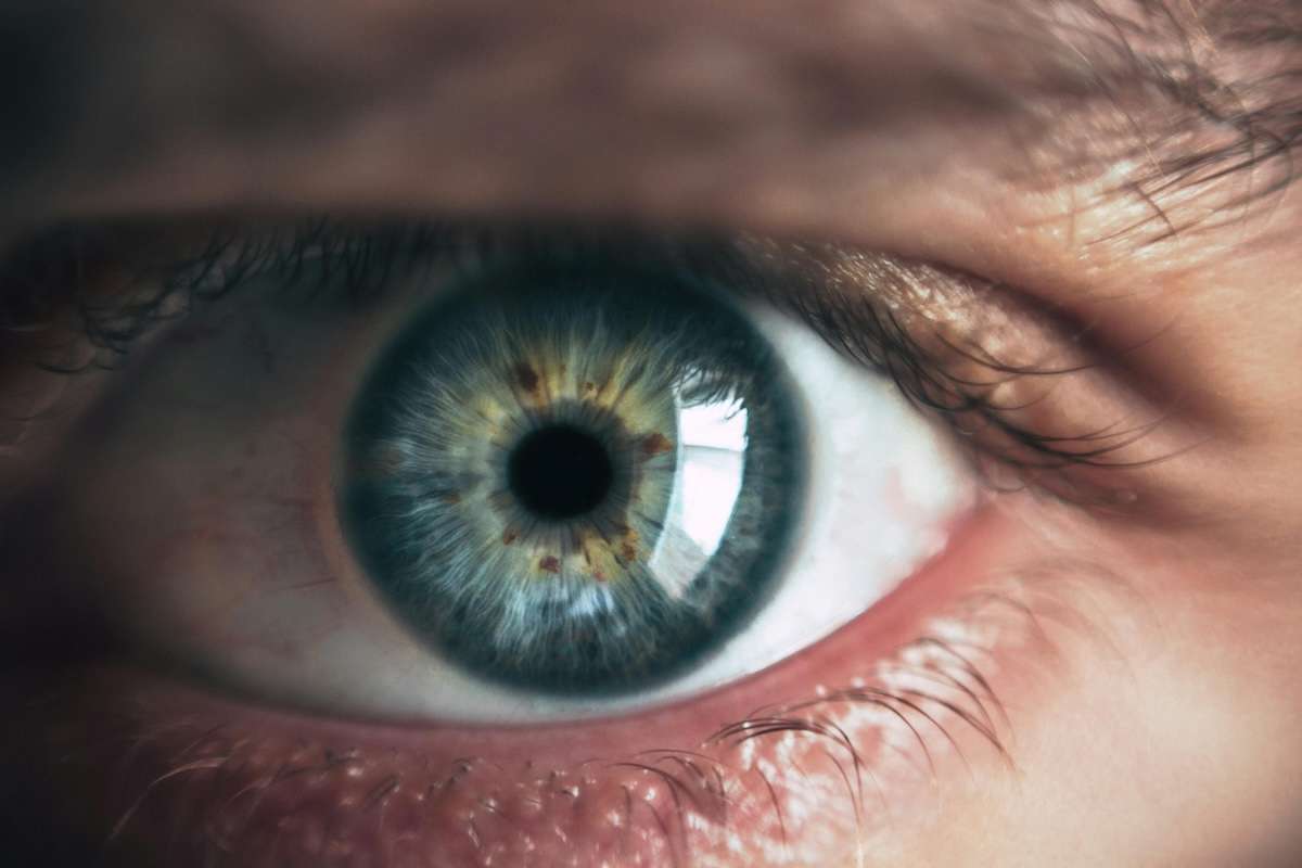 Pexels eye 865711